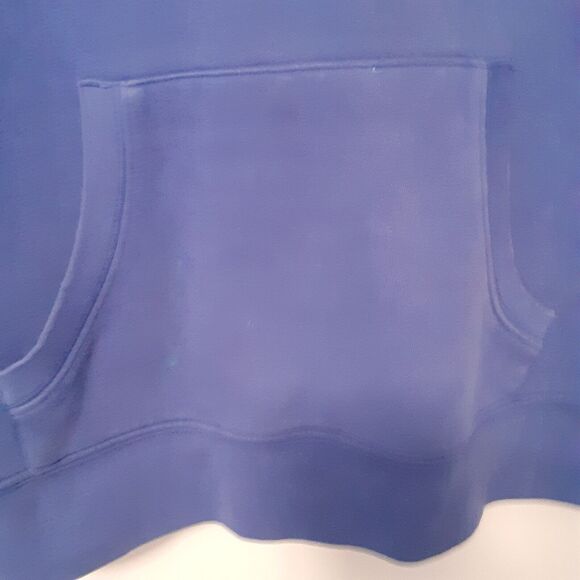 Florida Gators UF Champion Men's Pullover Hoodie Sweatshirt Blue Medium NCAA - Picture 3 of 11